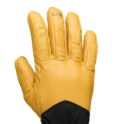 Tour Gloves | Black Diamond Essential